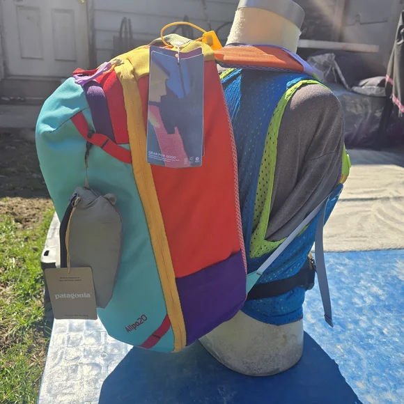 Cotopaxi Allpa 20 Yellow + Patagonia Terravia Mini Hip Pack Travel Bundle Set - Picture 3 of 4